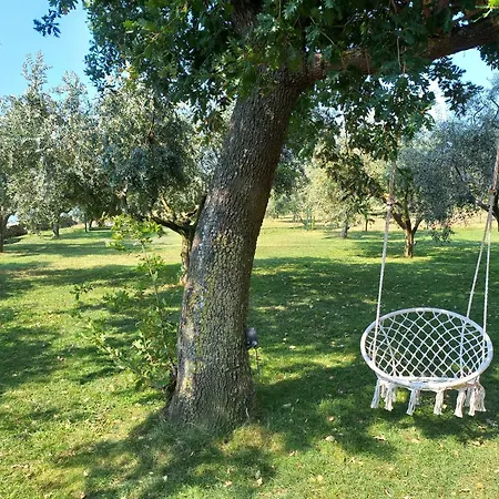 Holiday home Strandhaus Ive: Beachfront Oasis With Whirlpool And Olive Grove